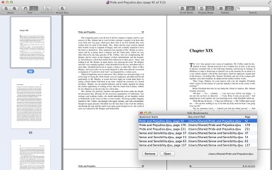 DjVuReader 1.3.3