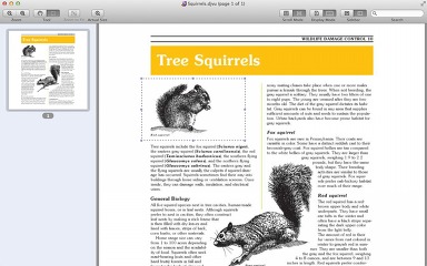 DjVuReader 1.3.3
