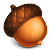 N100_acorn