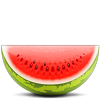 N100_icon