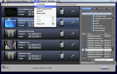 iSkysoft iMedia Converter Deluxe 3.0.0
