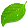 N100_appicon